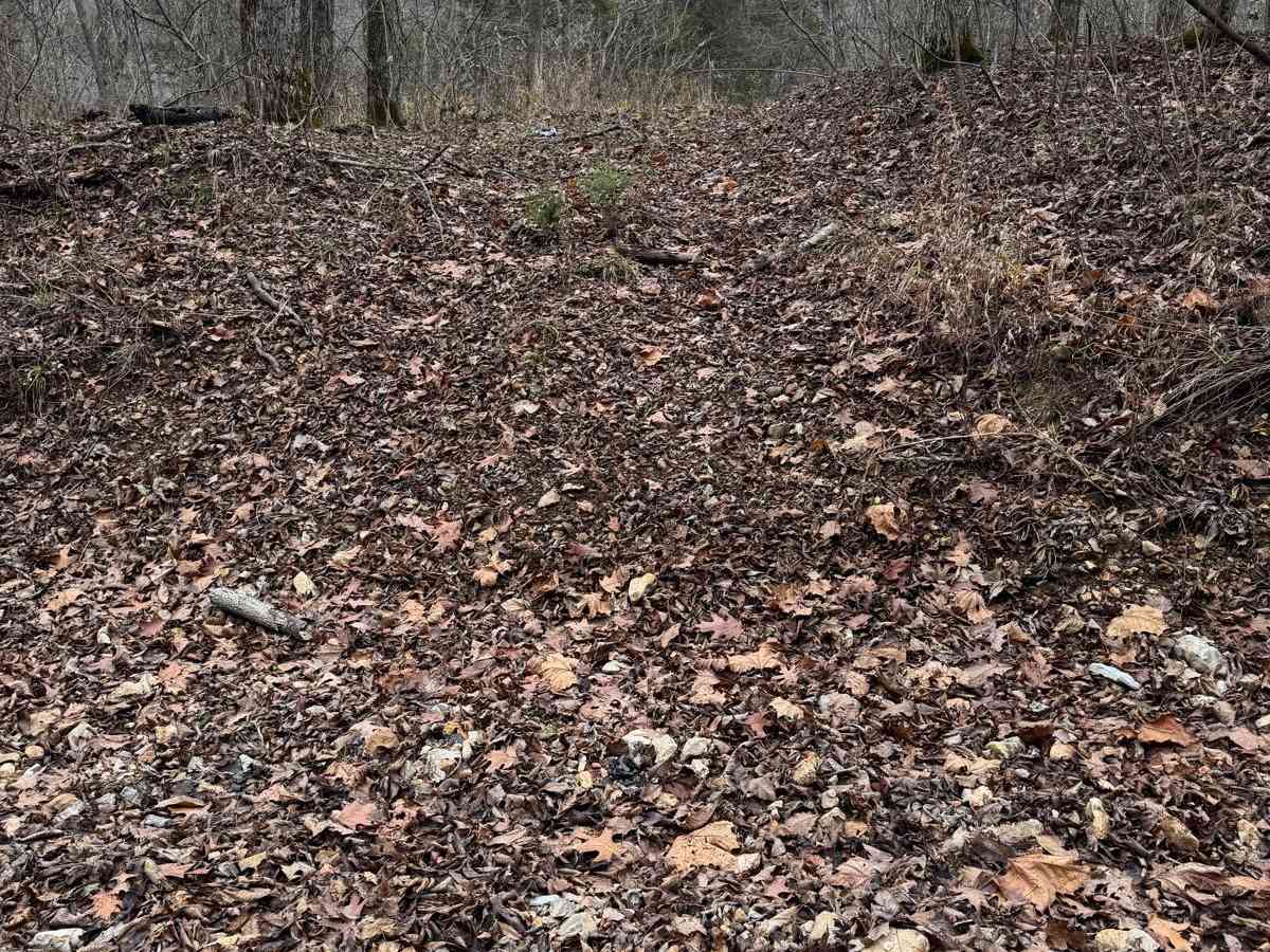 Green 346 trail photo