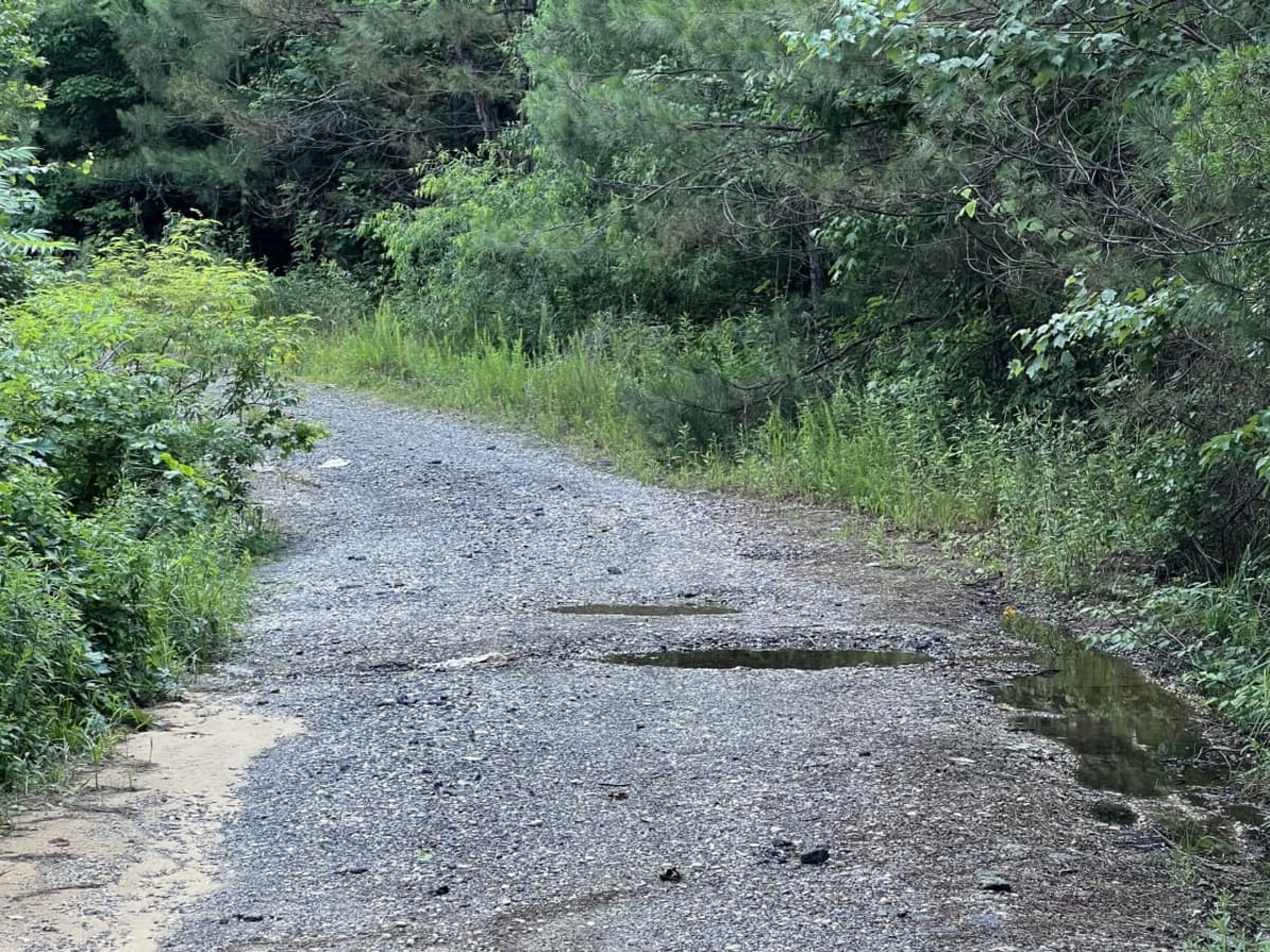 Fork Creek Road photo 2