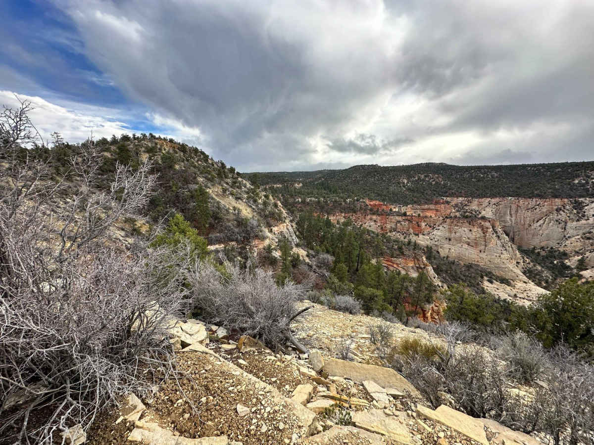 Lower Black Mesa Loop photo 6
