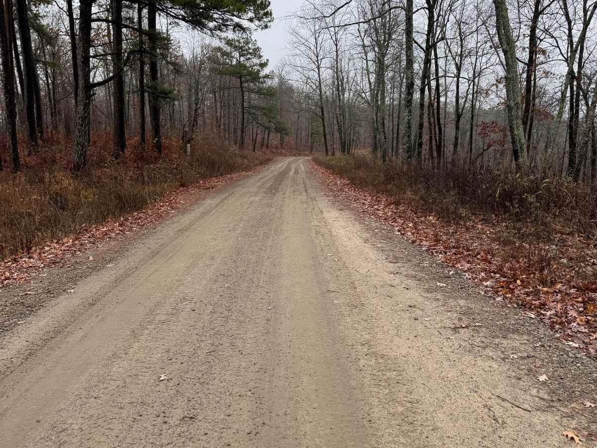 Victor Road photo 4