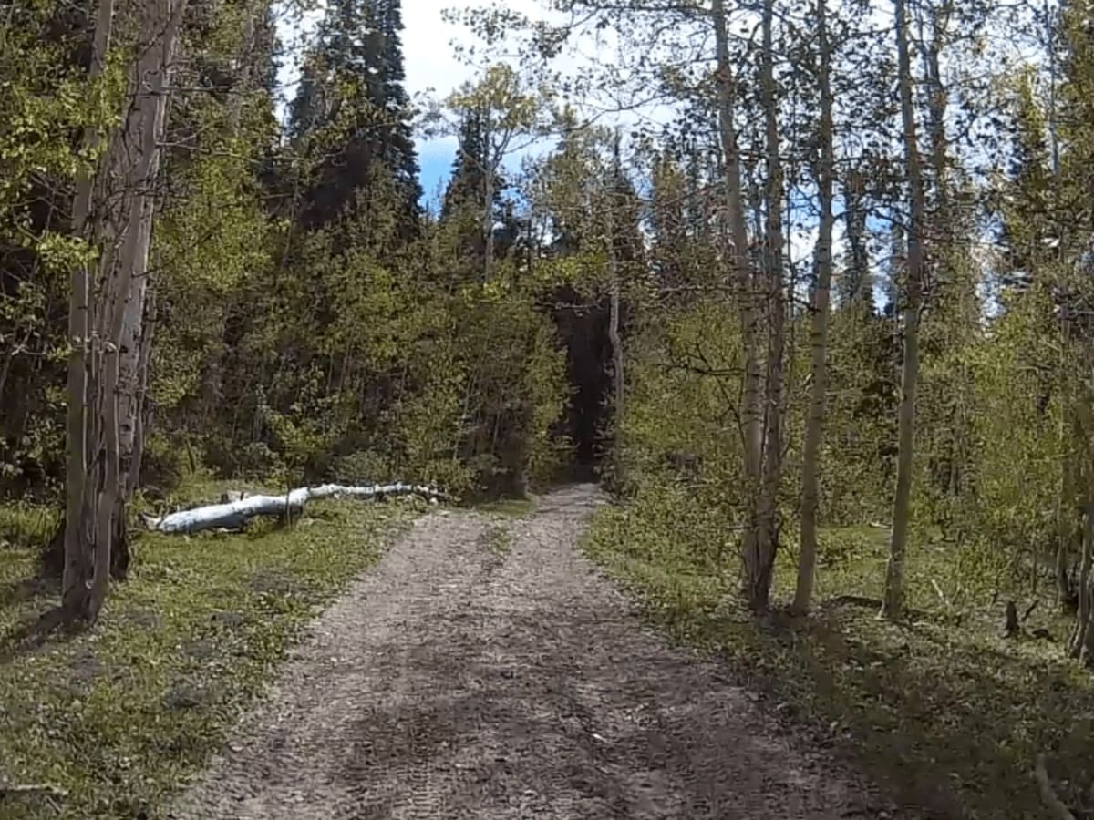 Exiting Manti Canyon trail photo
