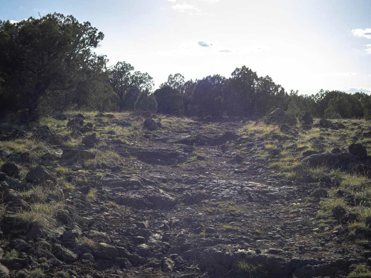 Robbins Way Down photo 3