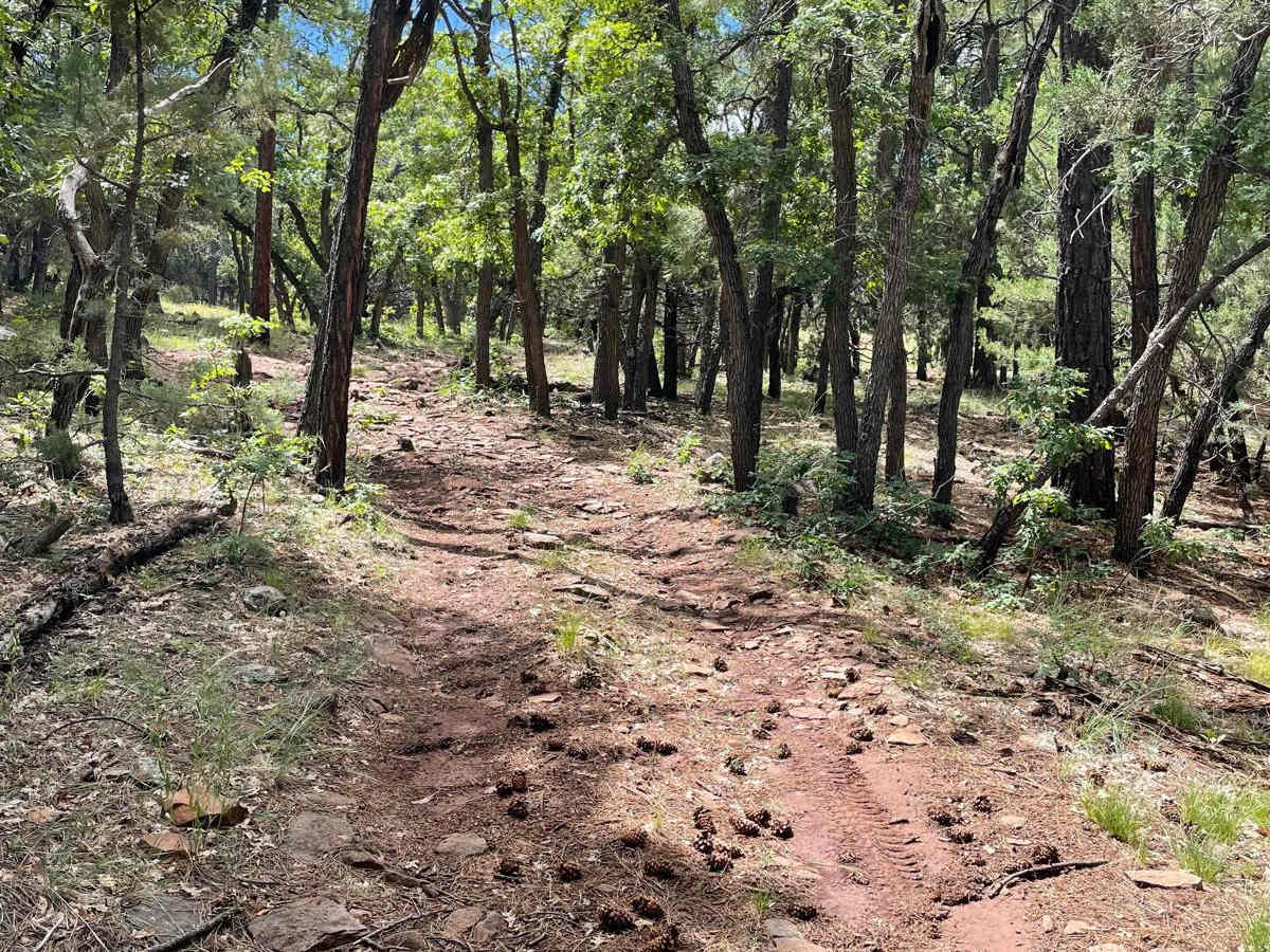Scrub Oak Bypass trail photo
