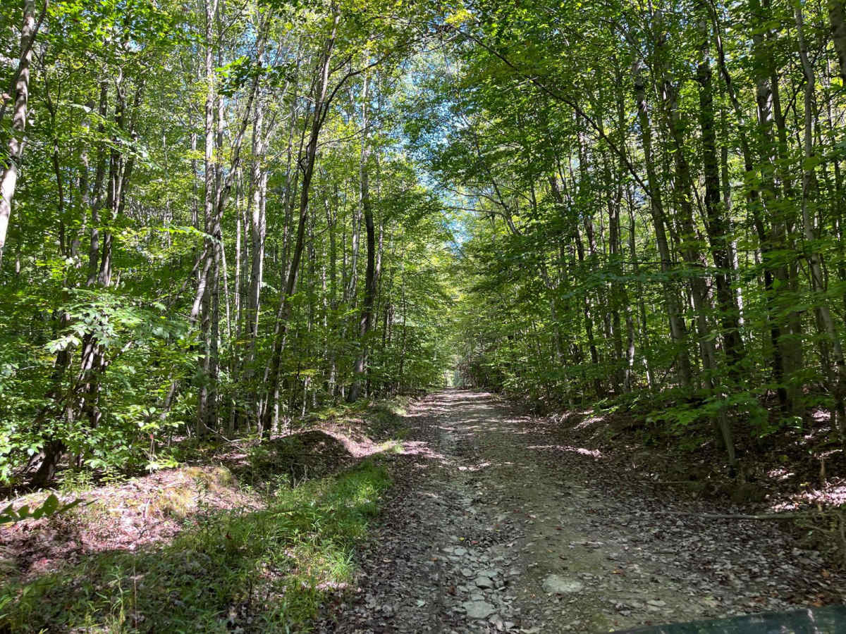 Harrison Road photo 5