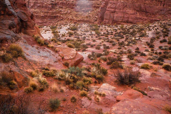 Rock Rim Single Track