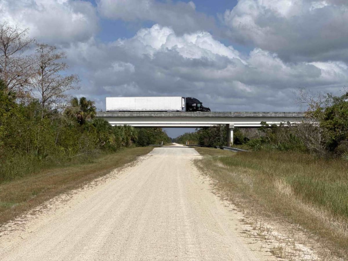 Turner River Road - CR 839 photo 2