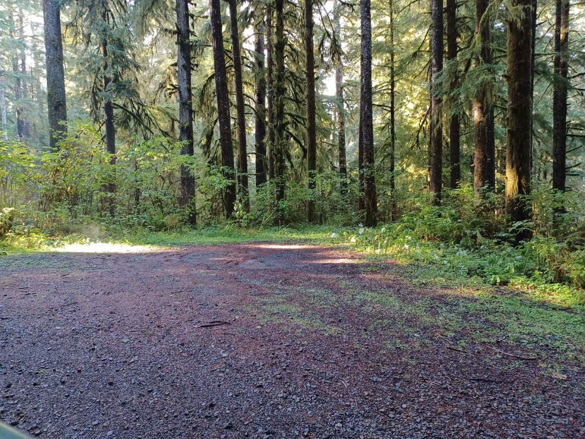 Lewis Creek photo 6