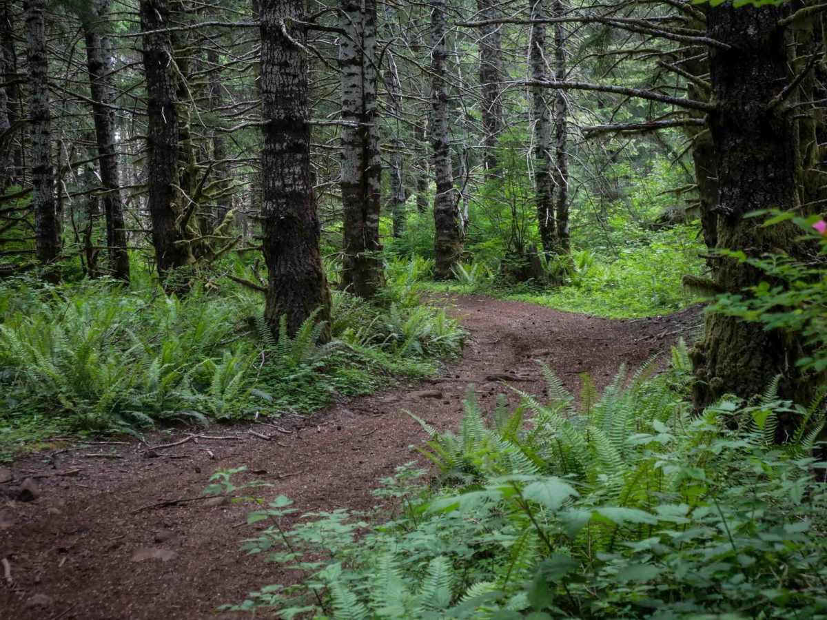 McNary Loop photo 5