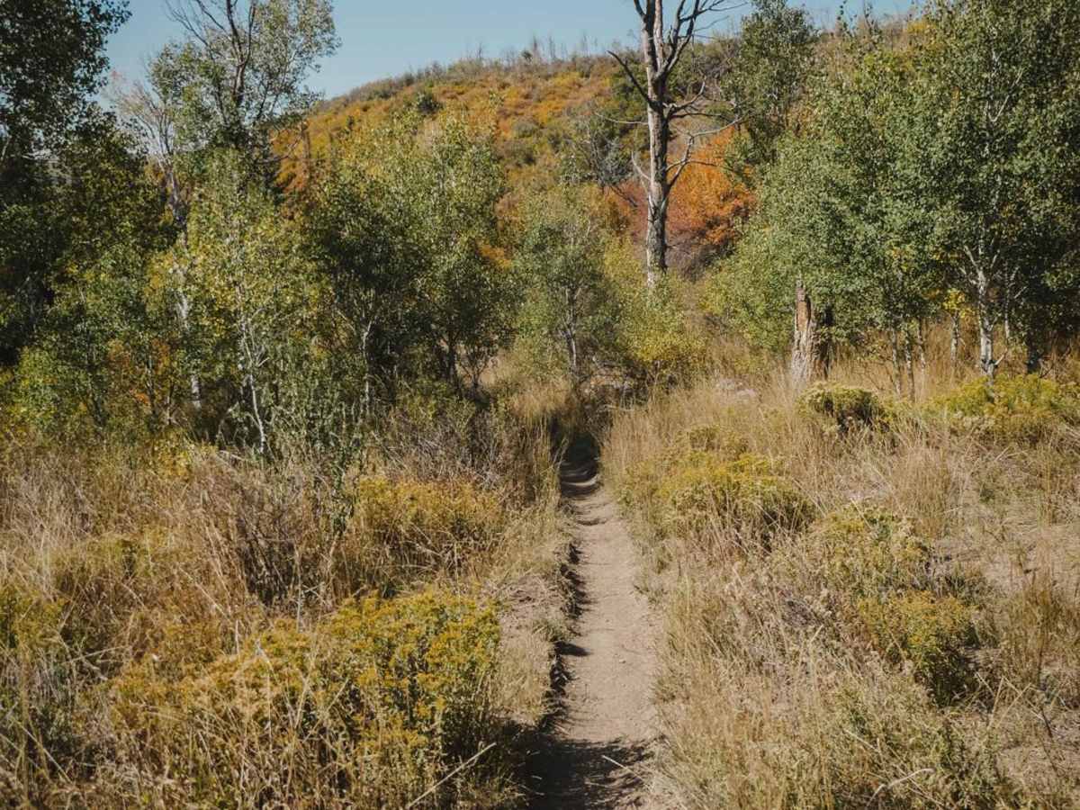 Milepost One Trail photo 2