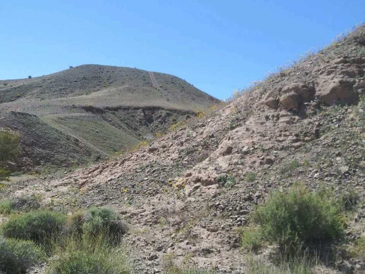 Metal Masher Boulder Wash Spur photo 5