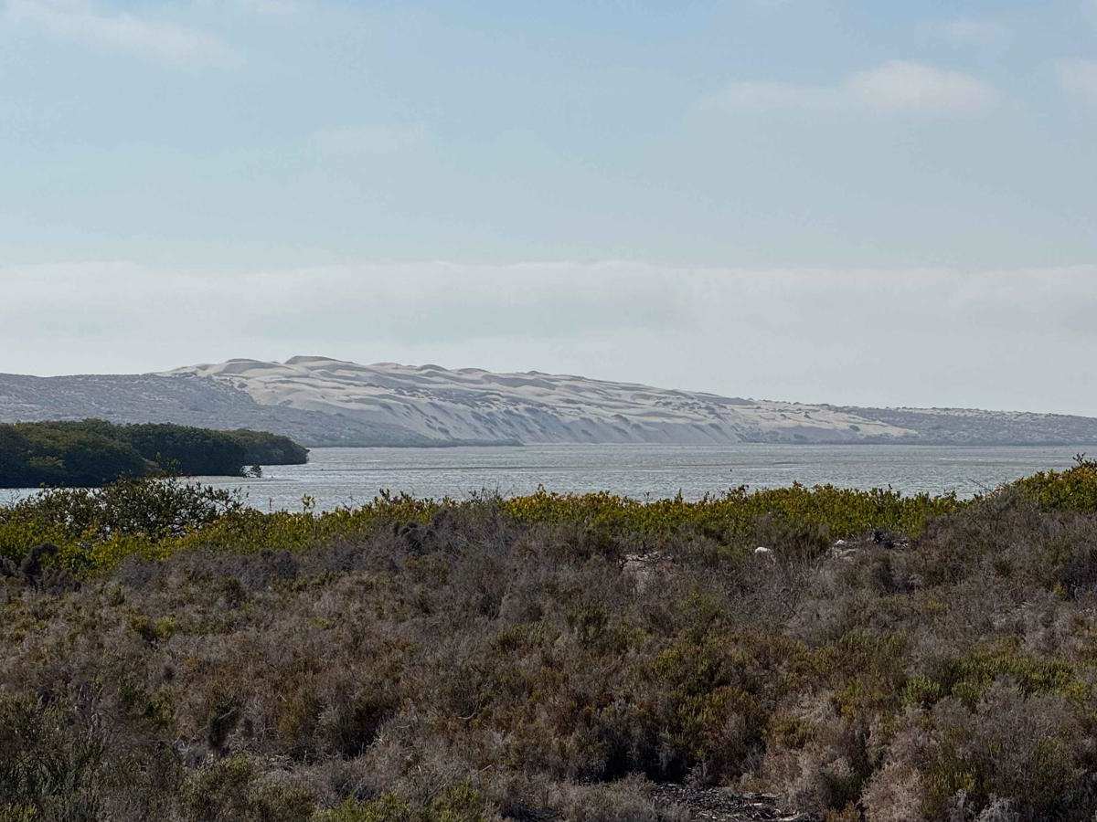 Inlet Loop photo 5