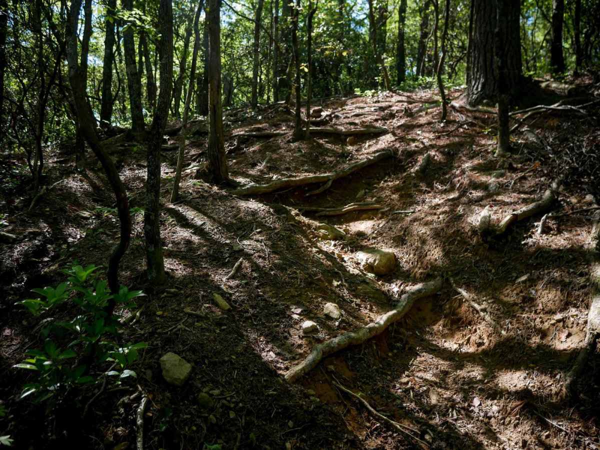 Enduro Trail trail photo