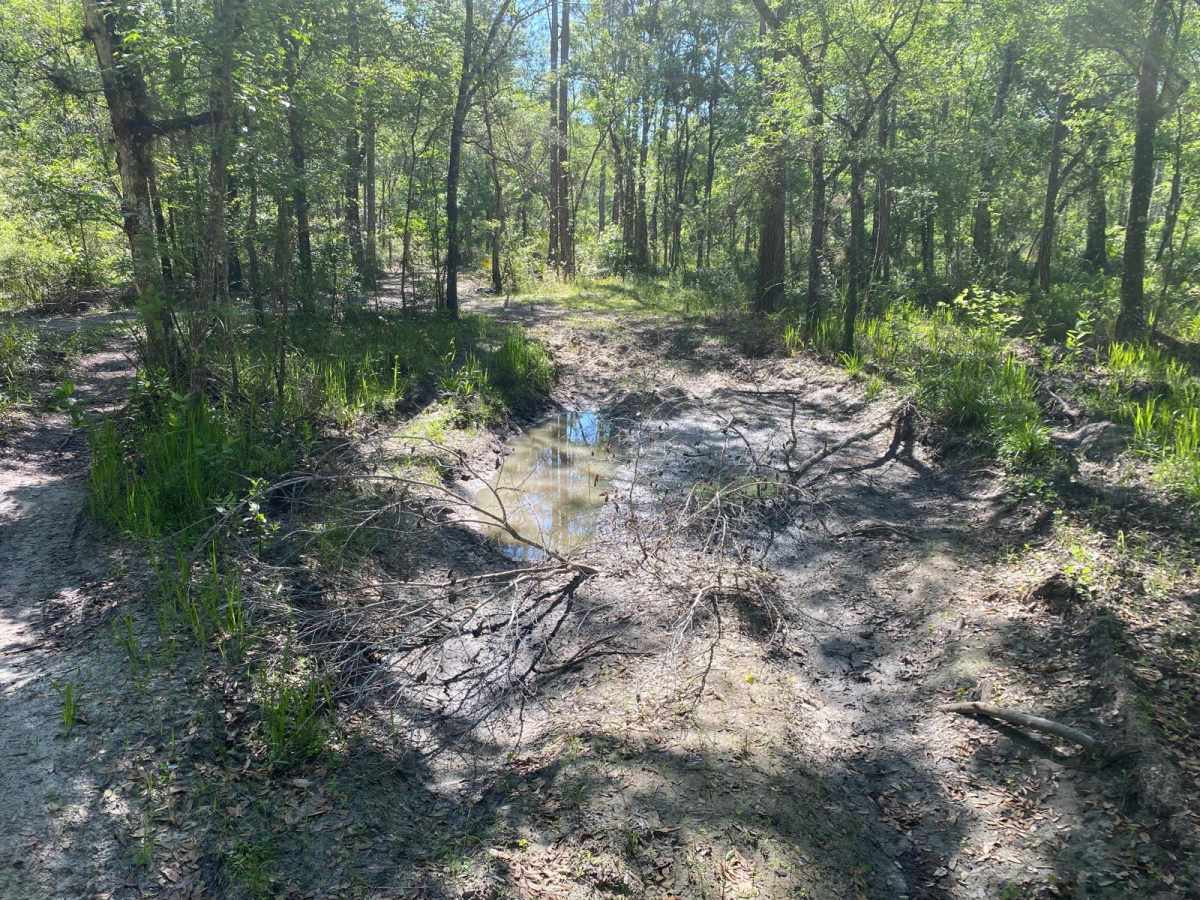 Blue Sink Road photo 6