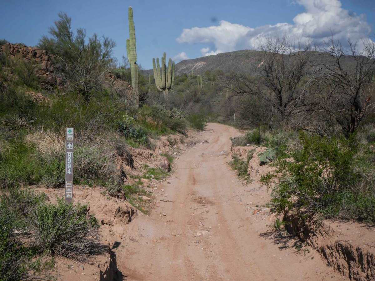 North Little Grand Canyon 9994 trail photo