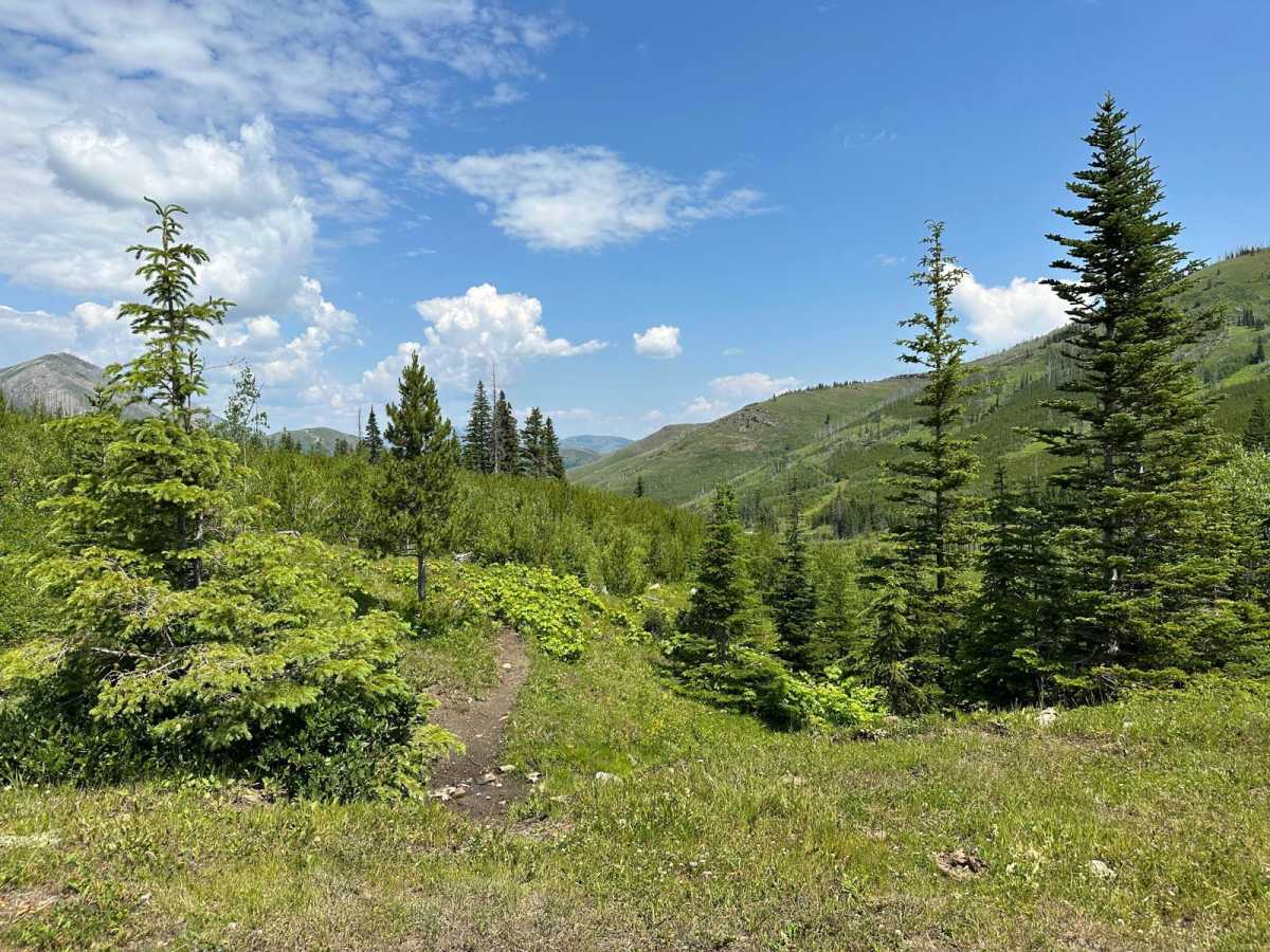 Adanac Trail photo 4