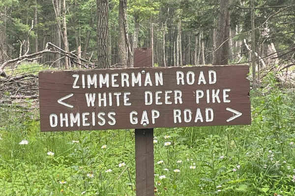 Zimmerman Road
