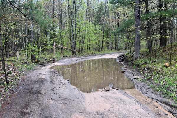 No. 10 Road Trail