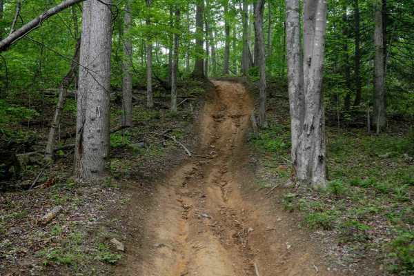 Trail 8