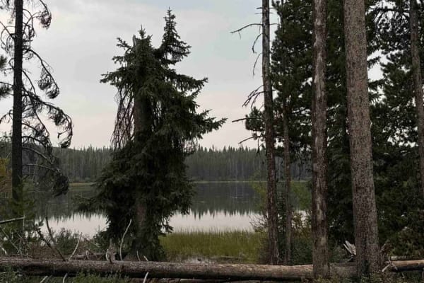 Rat Lake Road
