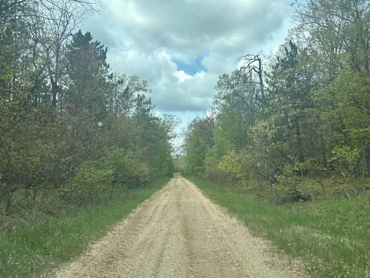 FS 4391 photo 2