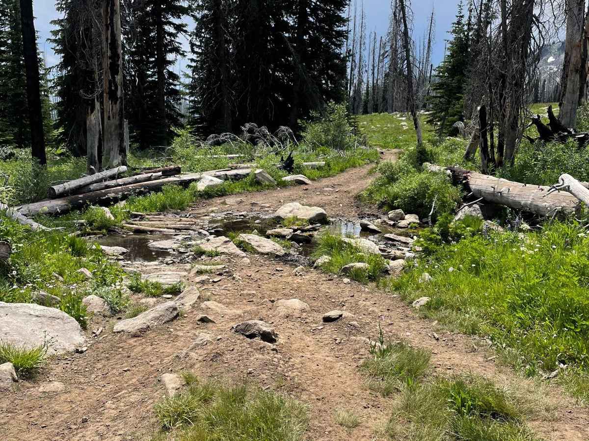 Hard Butte ATV photo 3