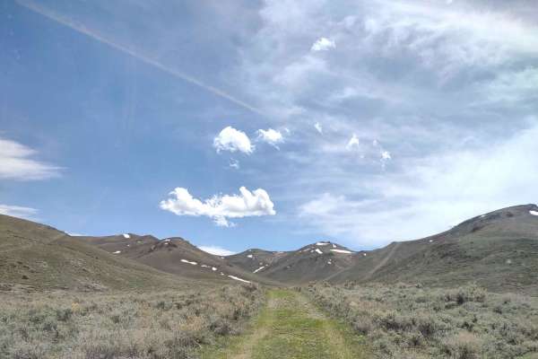 Appendicitis Hill Spur #5