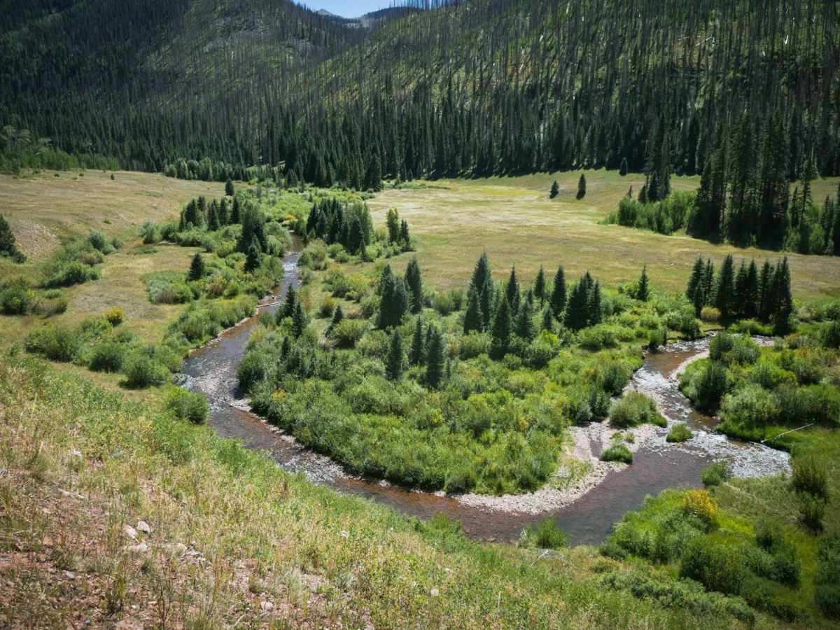 Bear Creek Trail trail photo