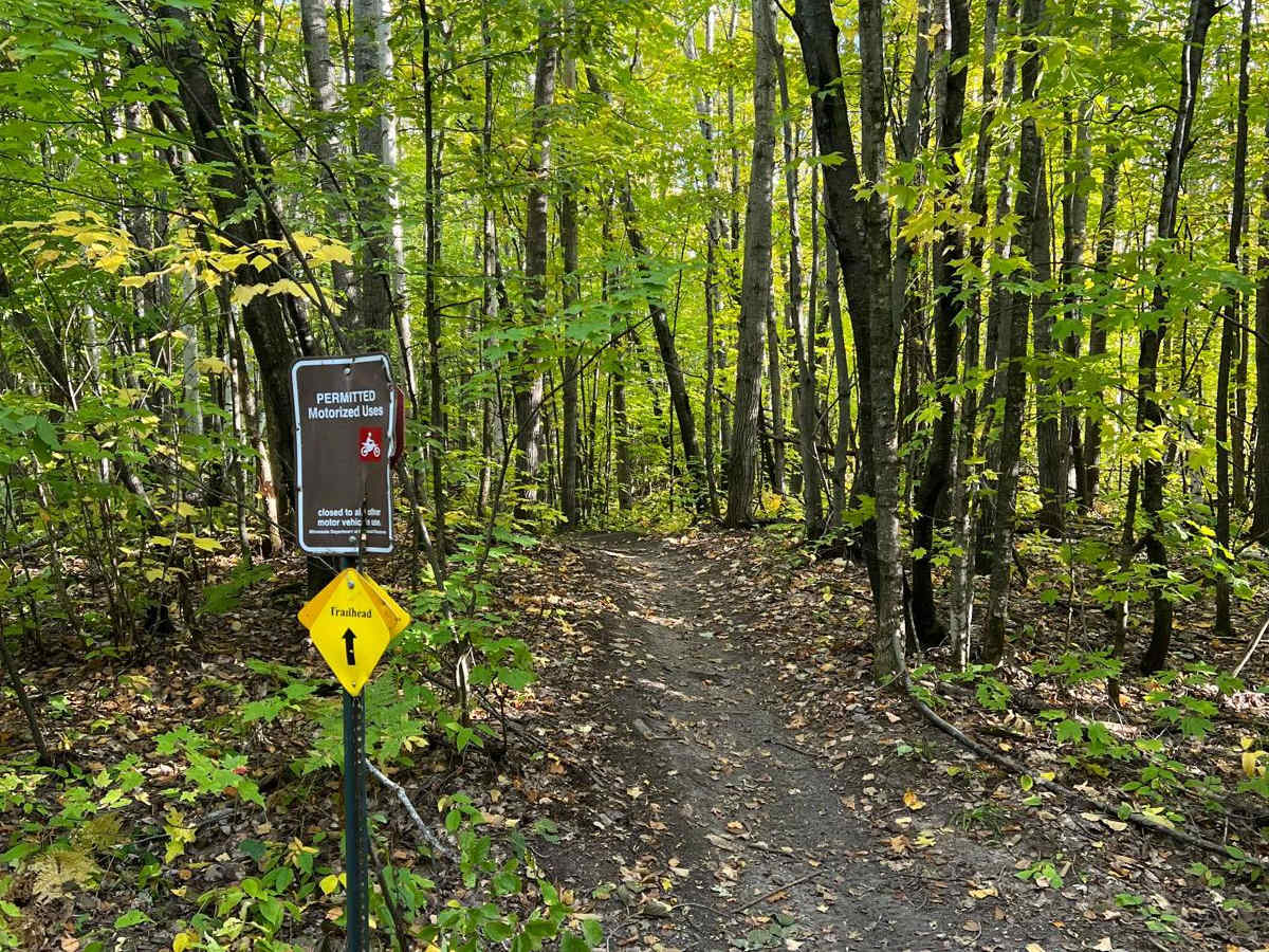 Paul Bunyan's Overgrown ATV Trail photo 3