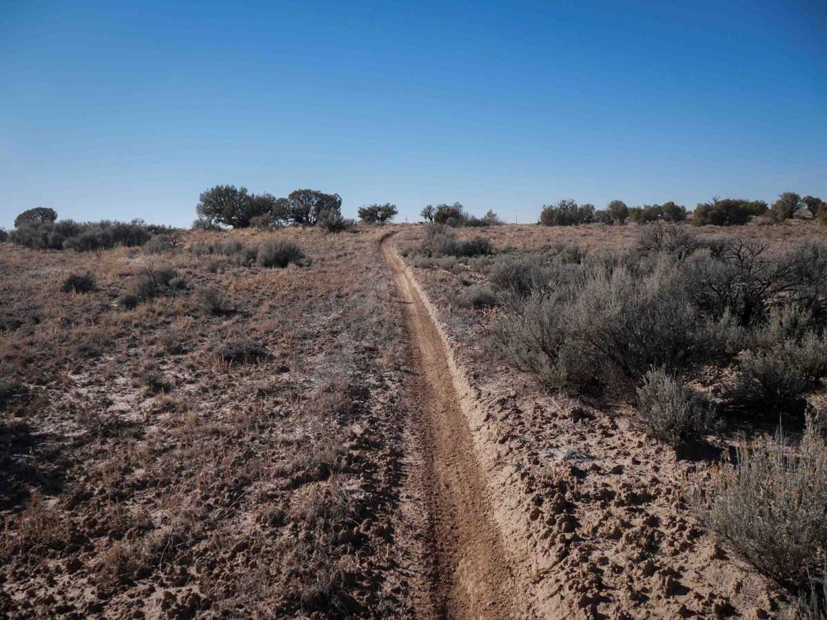 Ridge Singletrack photo 3