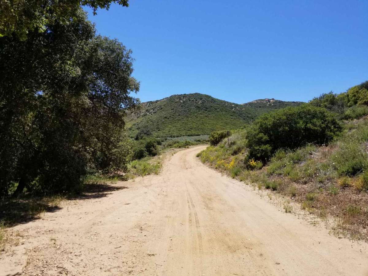 15S05 La Posta Truck Trail photo 4