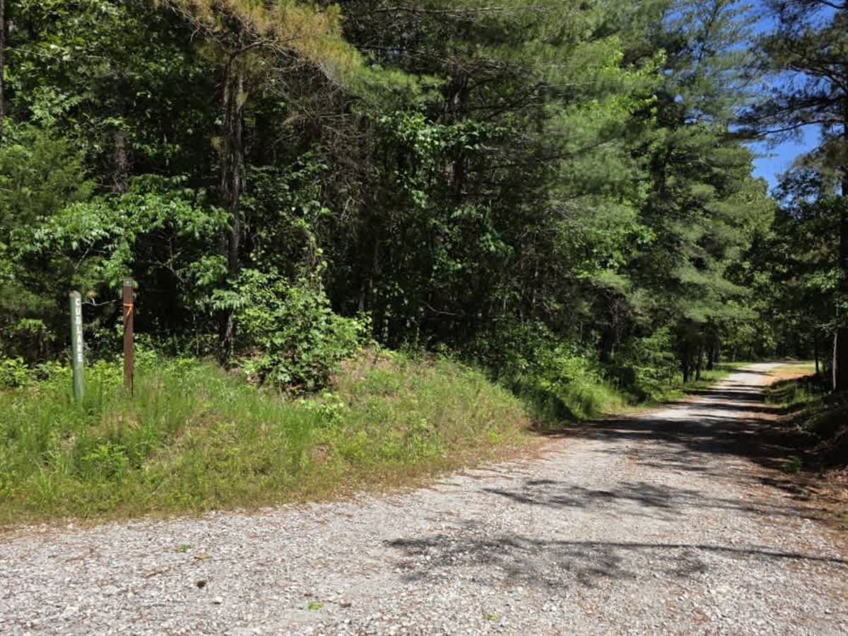 Cub Lake Trail trail photo