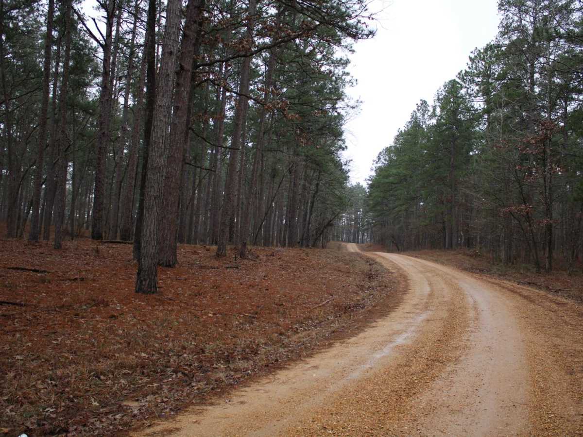 Dickerson Road (522) photo 3