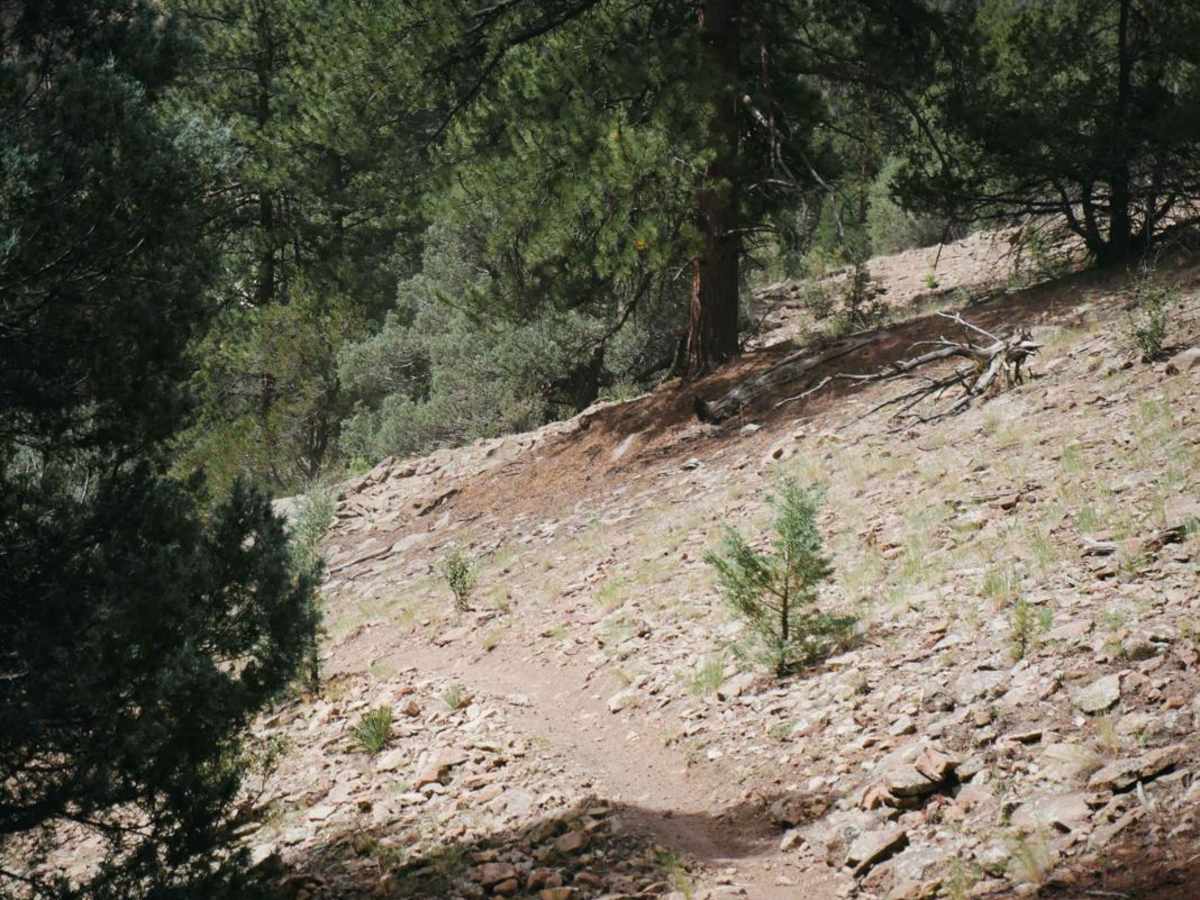 Palisade Trail photo 4