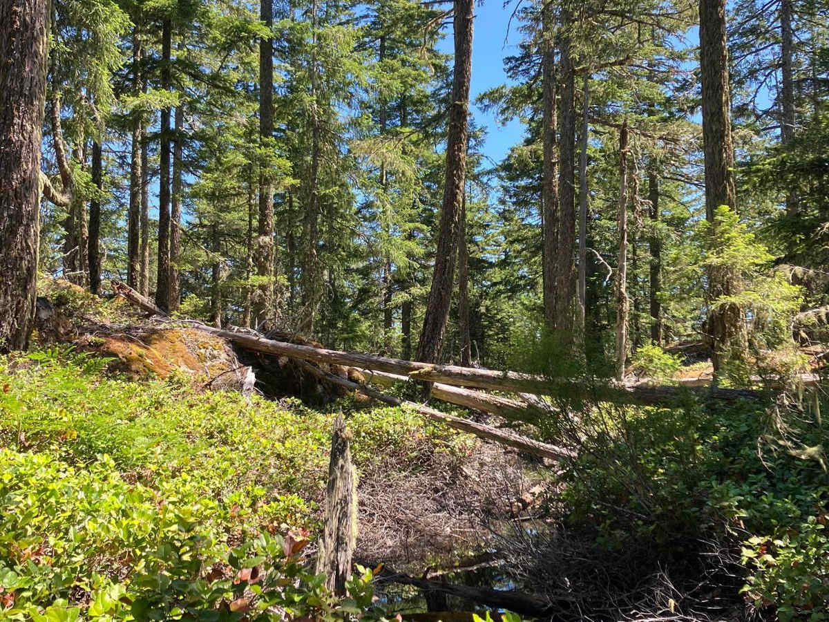 Granite Dunes photo 4