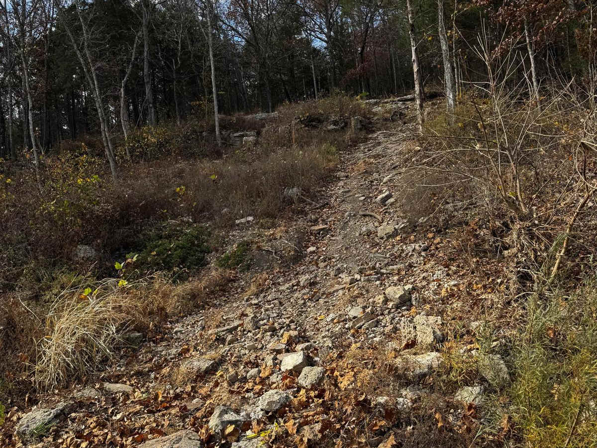 OG Rib Cage trail photo