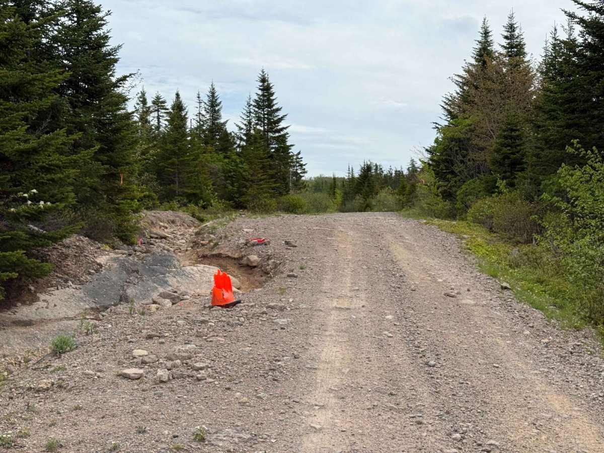 Trout Brook Road photo 6