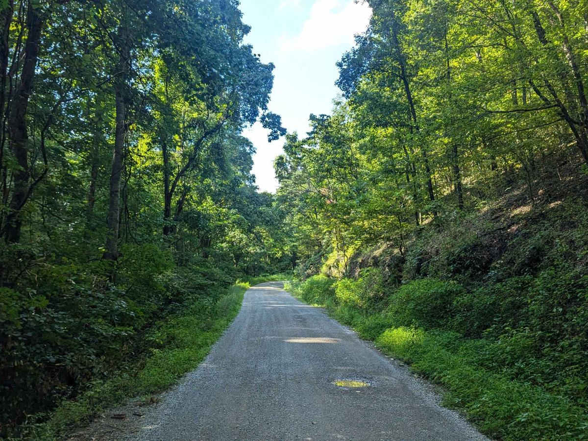 Green Mountain Road photo 4