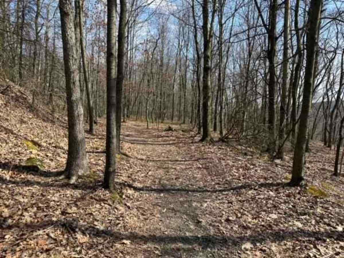 Ashland 106 photo 2