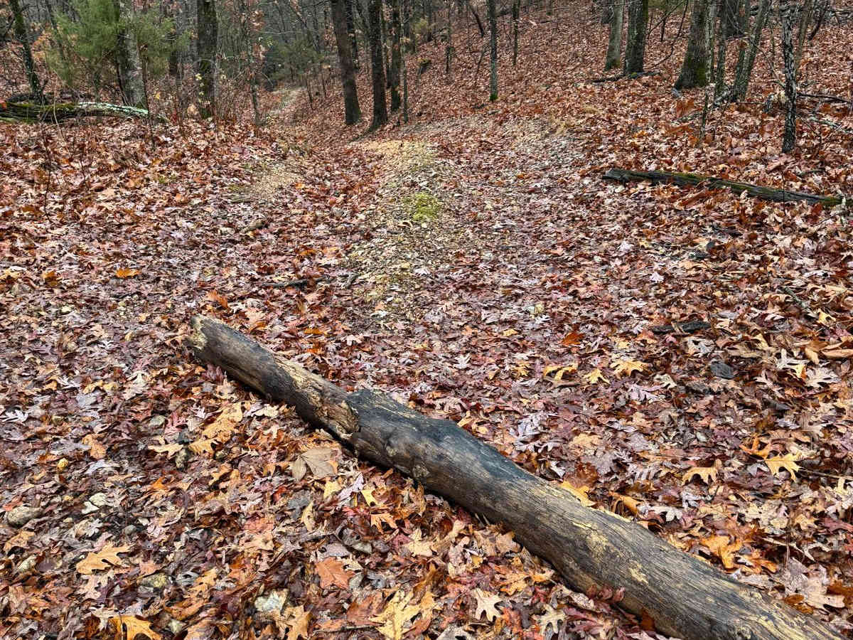 Yellow 301 trail photo