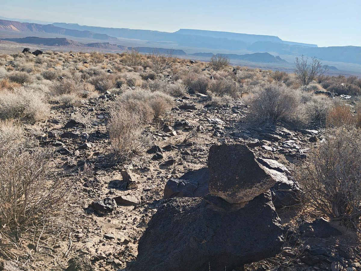 South Rim Black Rock Loop - Single Track photo 5
