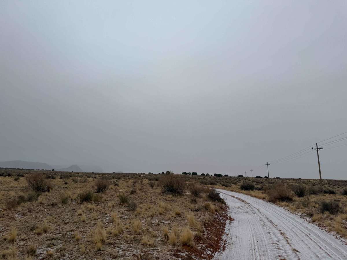 BLM M0000-M4186 photo 3