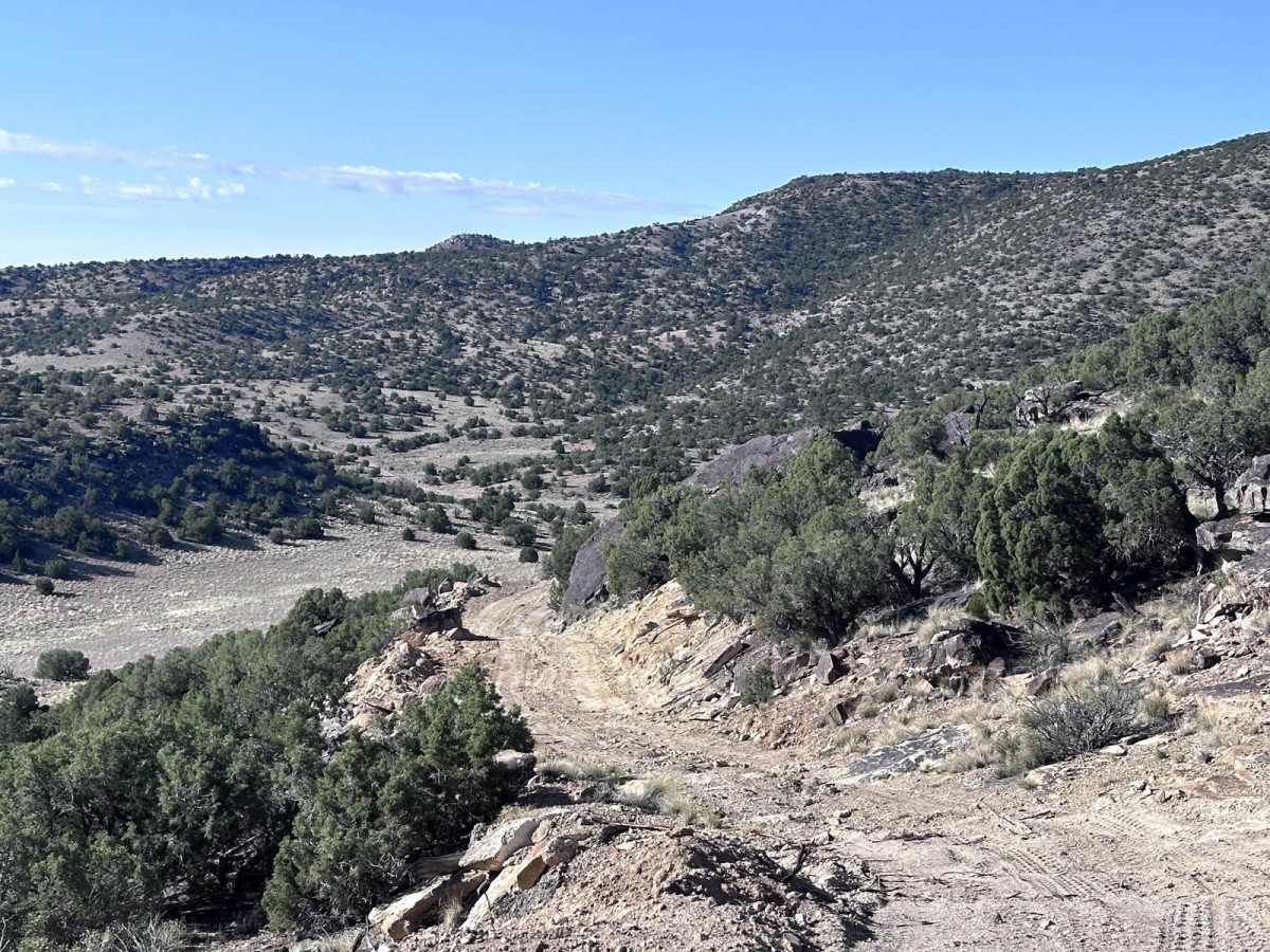 Verde South Trail photo 5