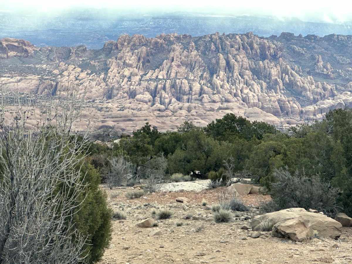 Alt Start Day Canyon Point Trail photo 5