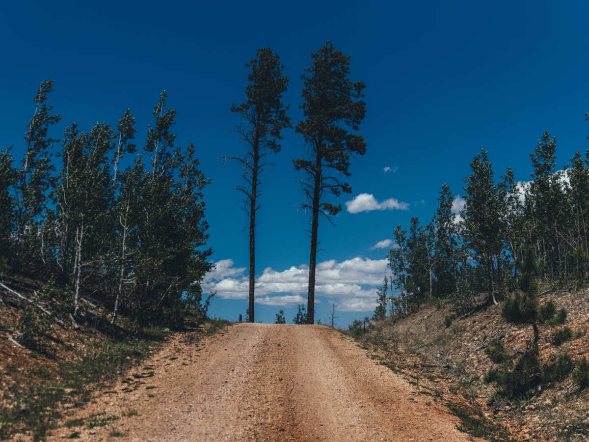 Half Mile Access Road photo 3