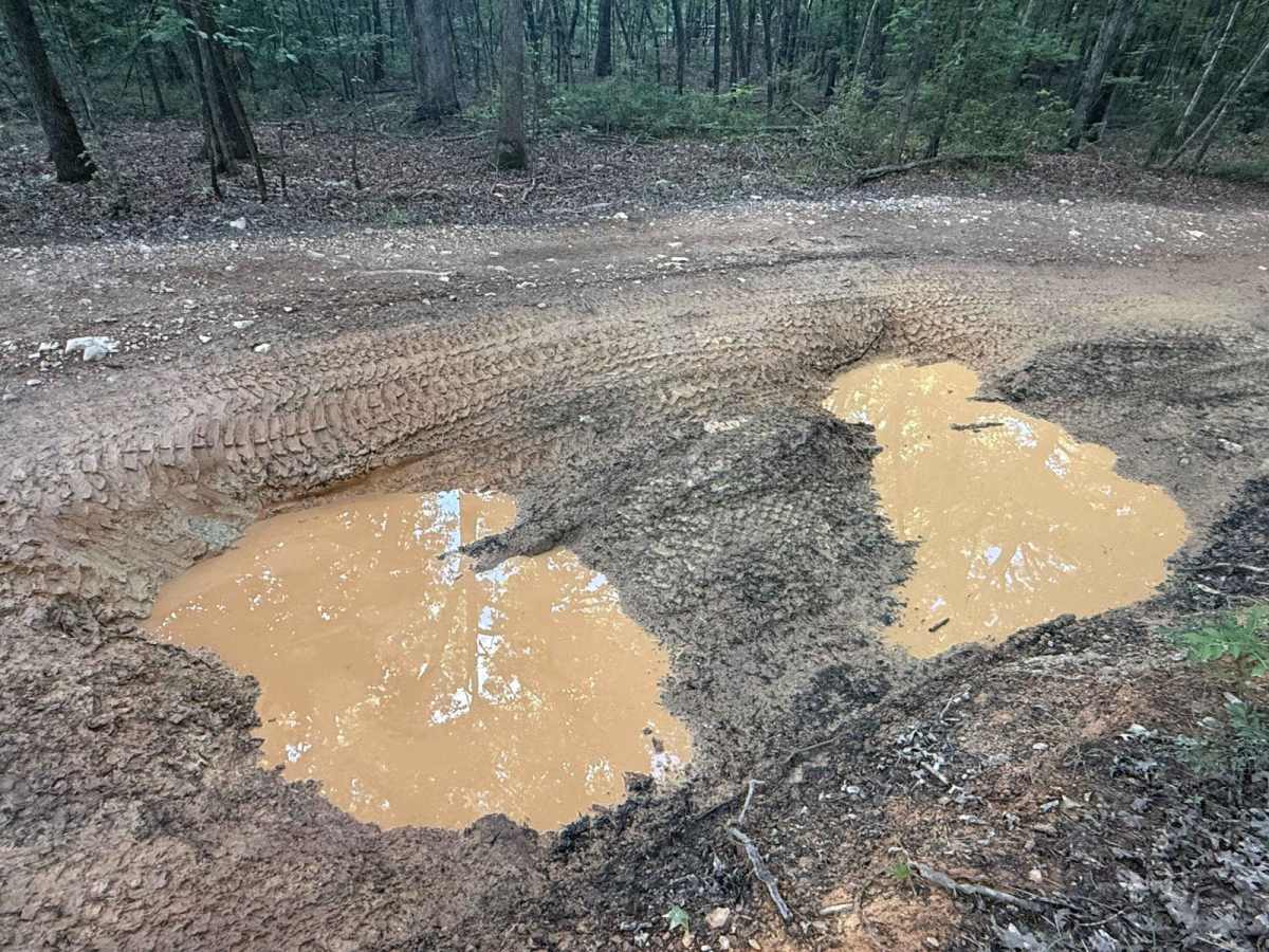 F2 Pond Road photo 2