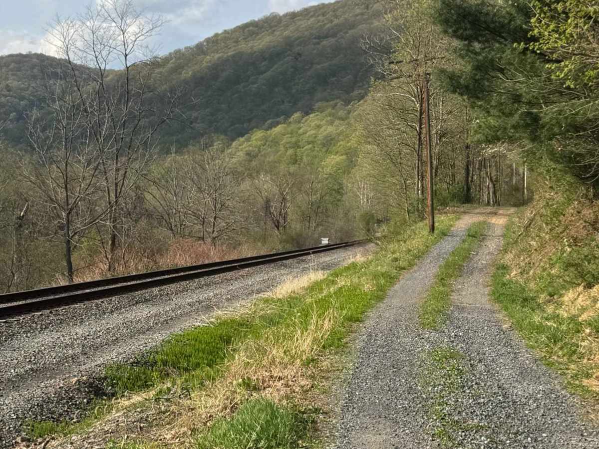 Hyner River Road photo 3
