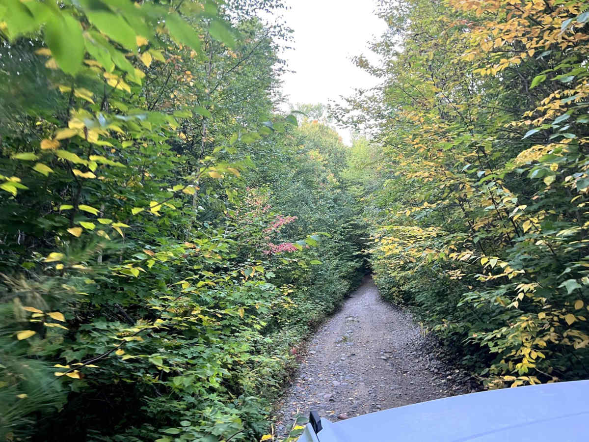 Tribag Mine Falls Camp Road photo 3