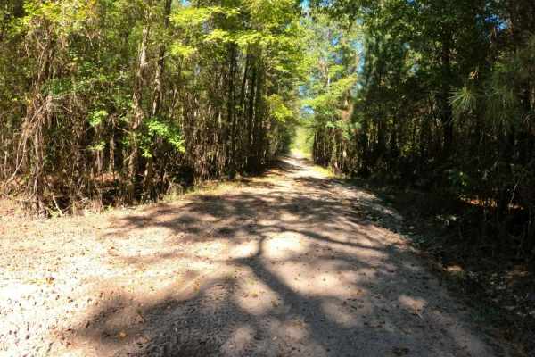 Radke Road
