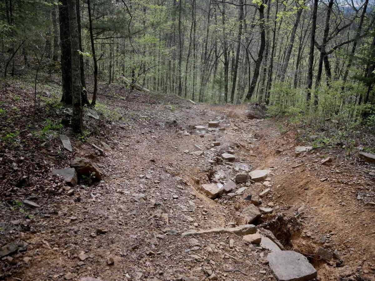 Black Oak Ridge Spur Northwest photo 6