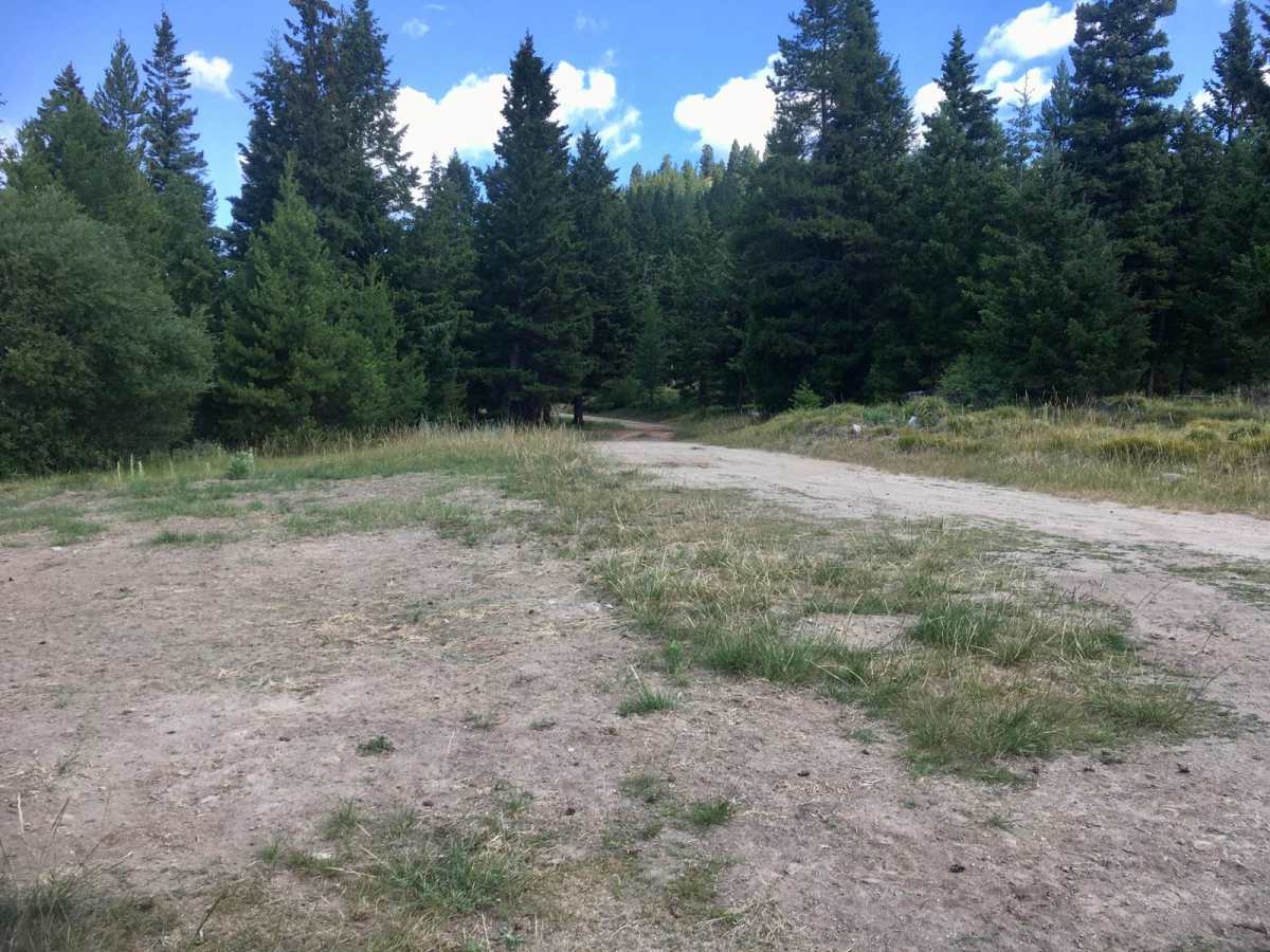 Cold Spring Hill Road photo 5